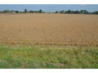 Property photo 45 - REAL ESTATE AUCTION - 604+/- ACRES IN 14 TRACTS IN MERCER CO., OHIO